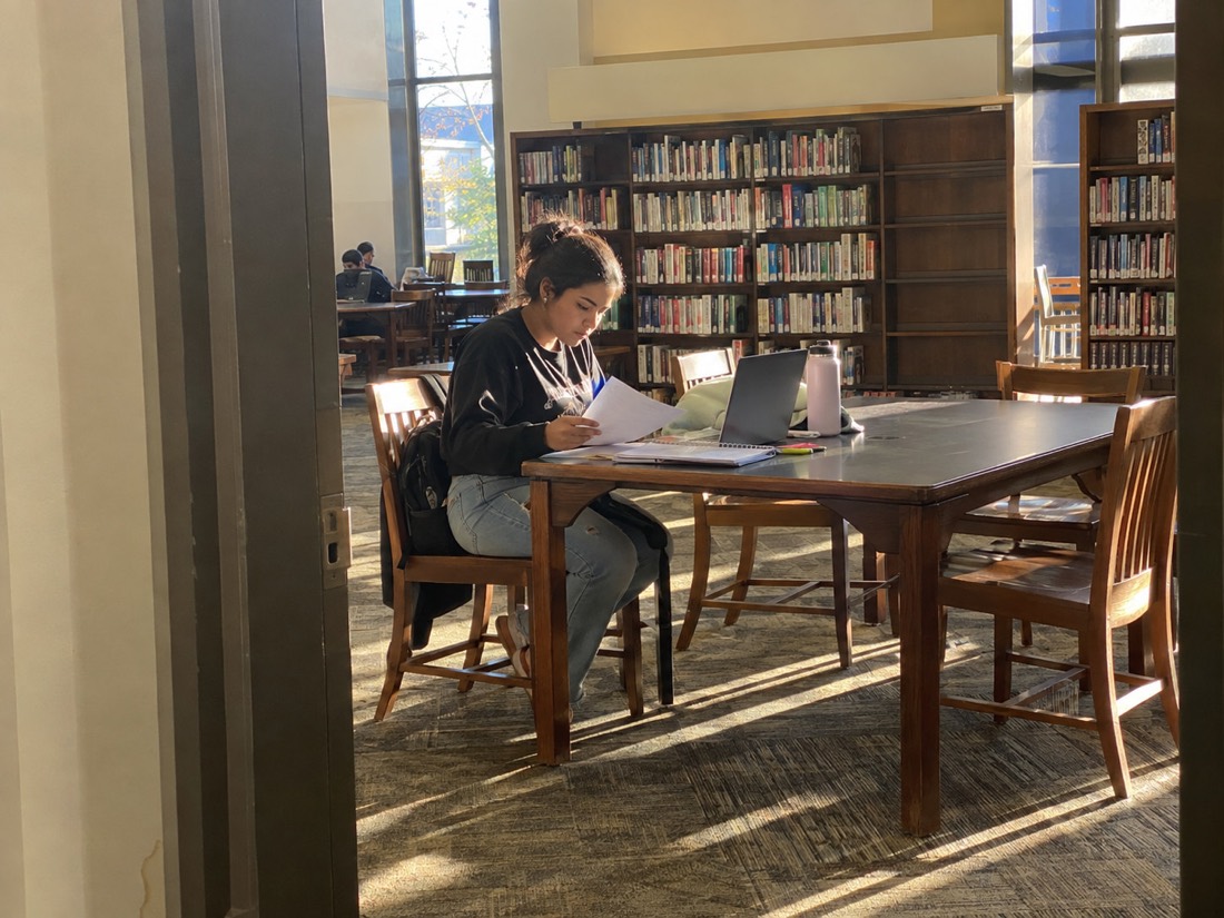Person using a laptop and notes during a job search